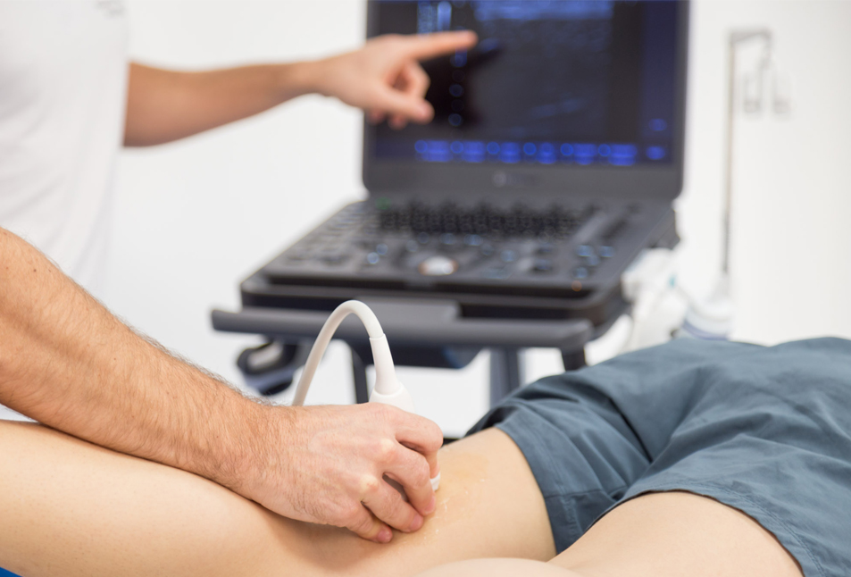 TERAPIA-MANUALE-ECOGUIDATA